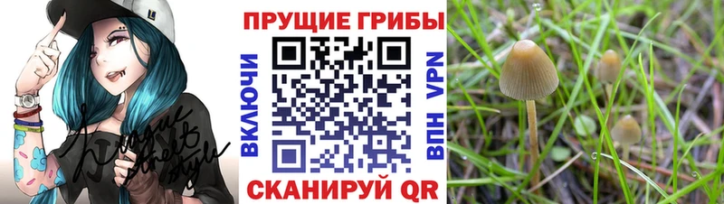 Псилоцибиновые грибы мухоморы  Купить  Симферополь 